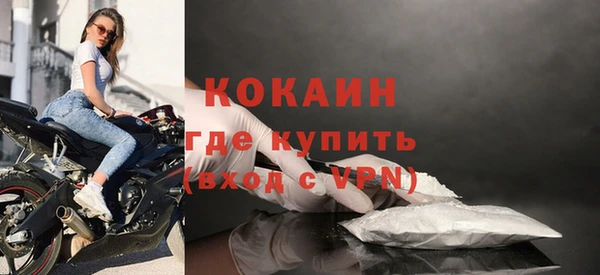твердый Бородино