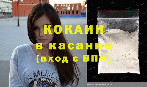 твердый Бородино