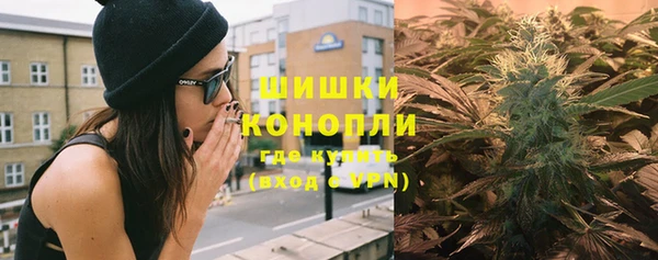 твердый Бородино