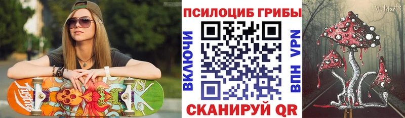 купить  сайты  Кашин  Галлюциногенные грибы Cubensis 